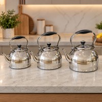 ابريق شاي 3ل ستانلس يد اس9265022 VICALI