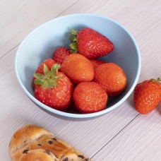 صحن اطفال بلاستيك GONDOL G601