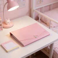 دوسية ملفات مغيط CY9605 9256071
